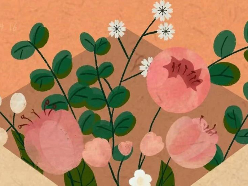 Kirje Jufengin perheelle