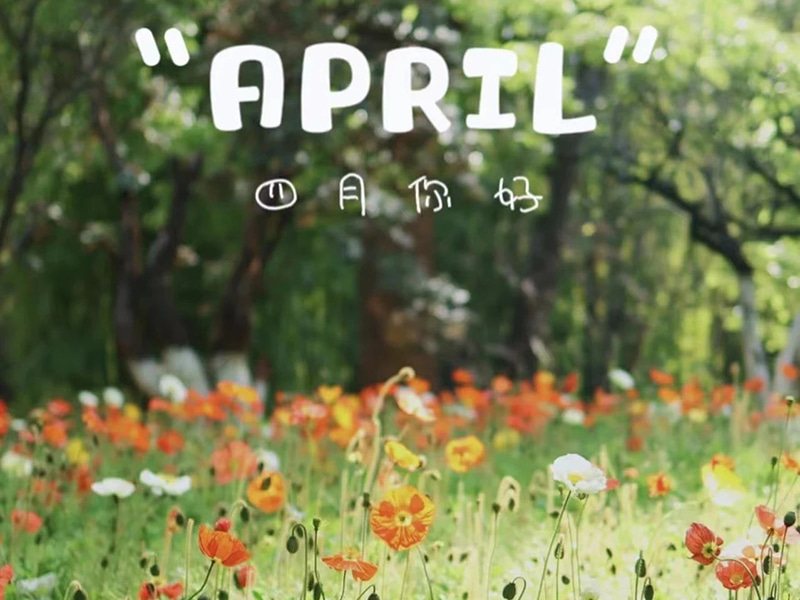 Syntymäpäiväonnittelut 丨Hyvää syntymäpäivää kaikille huhtikuussa syntyneille